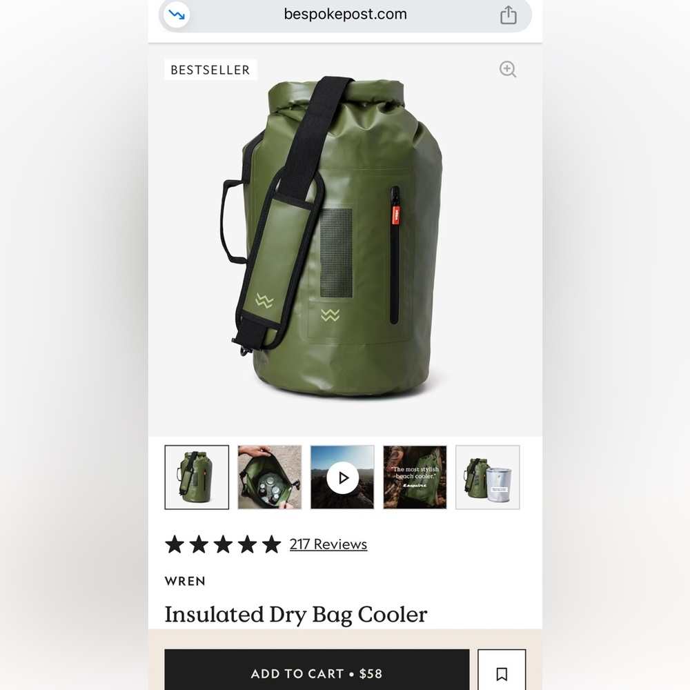 NWT Wren Insulated Cooler Dry Bag